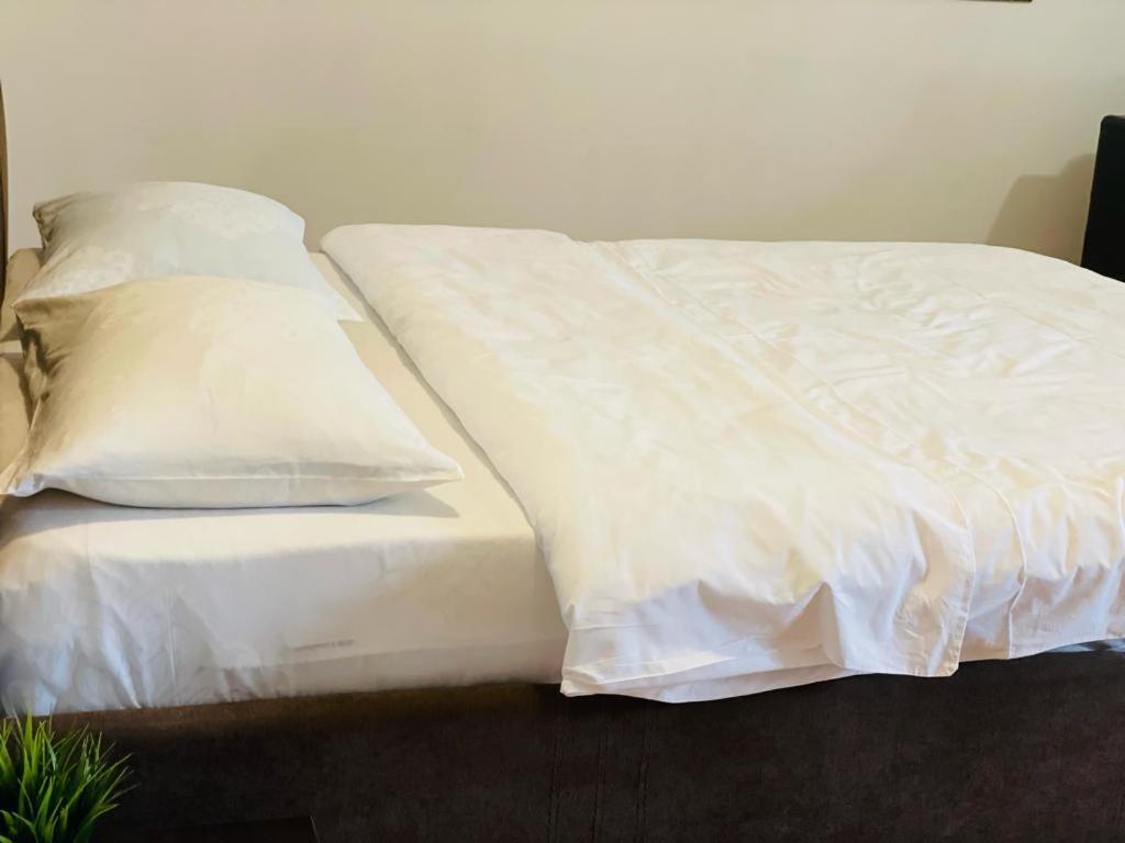 Tranzzit Airport Apartament Otopeni Kültér fotó