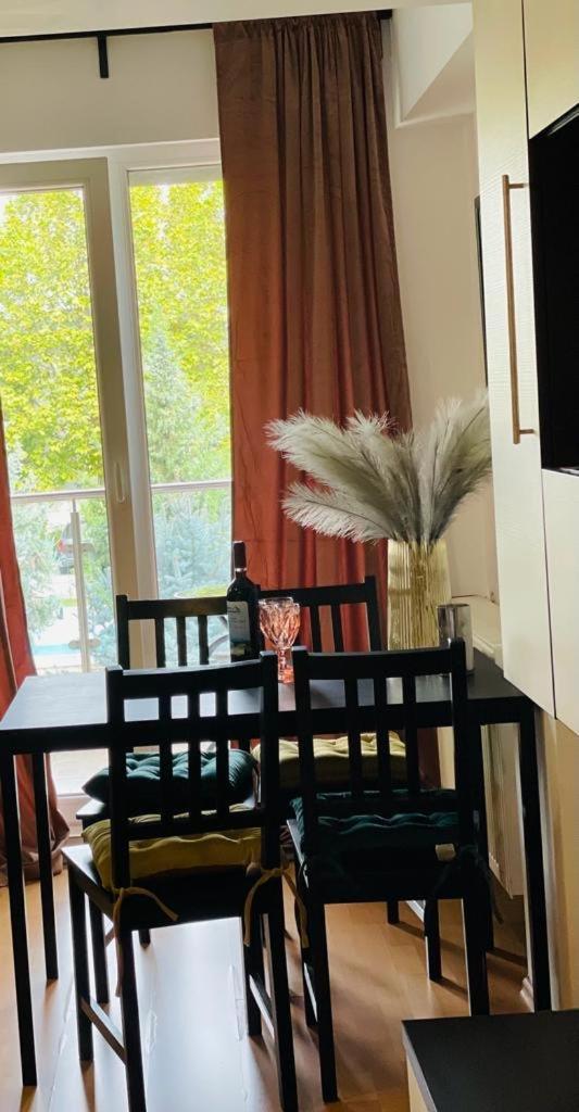 Tranzzit Airport Apartament Otopeni Kültér fotó