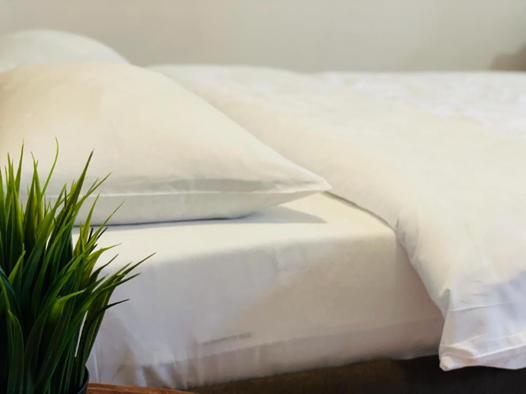 Tranzzit Airport Apartament Otopeni Kültér fotó