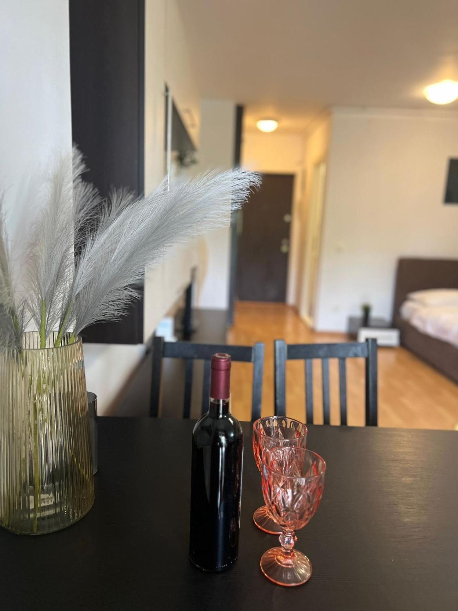 Tranzzit Airport Apartament Otopeni Kültér fotó